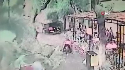 Fırtınada sallanan ağaç yoldan geçen vatandaşın üzerine böyle devrildi
