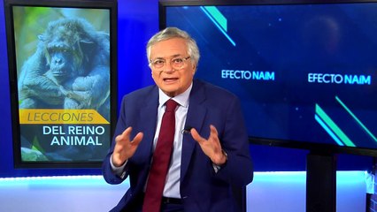 Las lecciones de los animales en la lucha contra el cambio climático