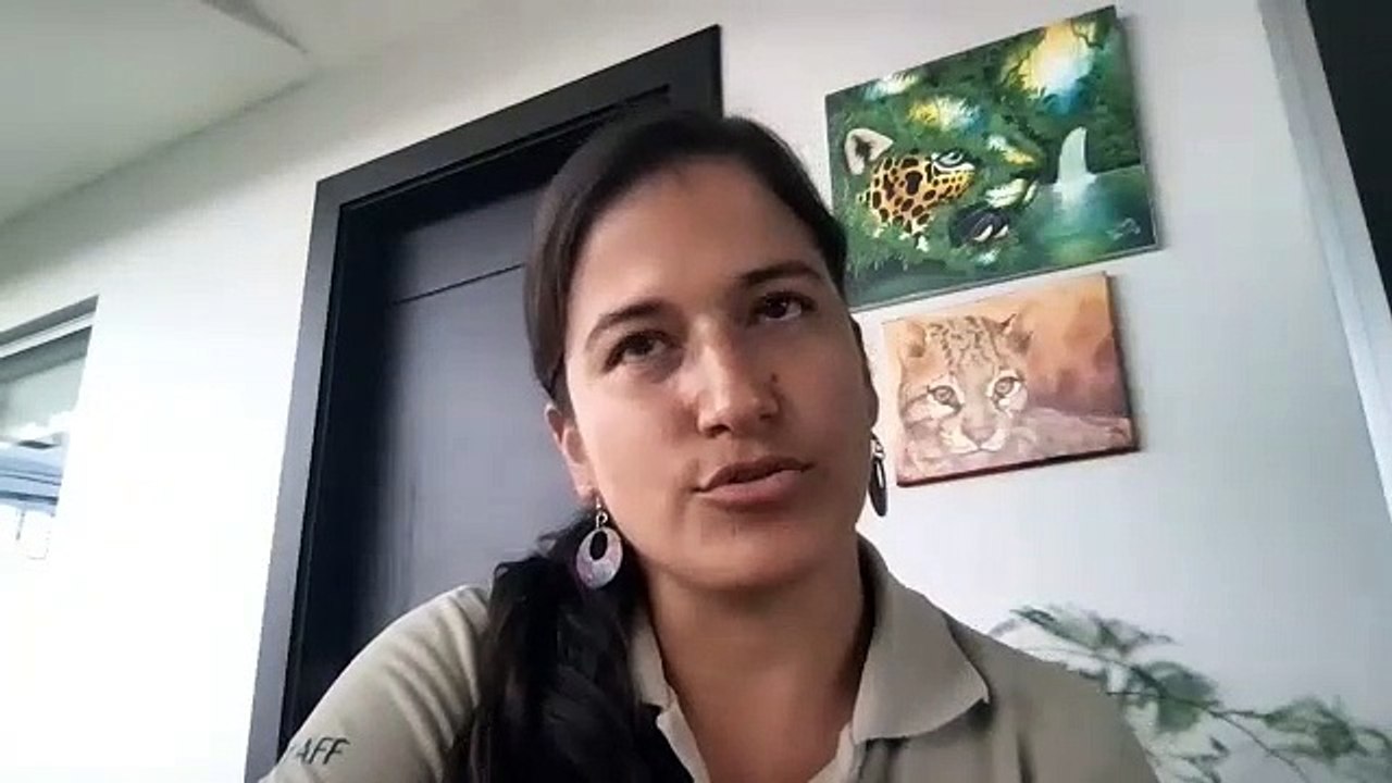 ext-conversatorio-vida-silvestre-151021