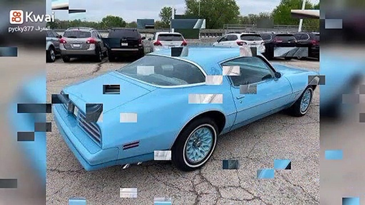 1978 Pontiac Firebird ESPRIT SKYBIRD