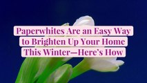 Paperwhites Are an Easy Way to Brighten Up Your Home This Winter—Here’s How