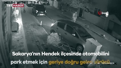 Otomobili park ederken ağacı devirdi