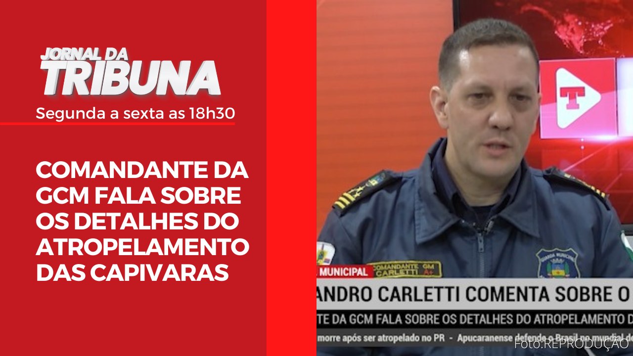 COMANDANTE DA GCM FALA SOBRE OS DETALHES DO ATROPELAMENTO DAS CAPIVARAS
