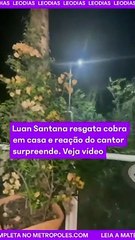 Luan Santana encontra jararaca em casa.