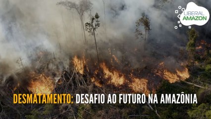 Desmatamento: desafio ao futuro na Amazônia