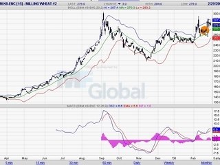 BLE MEUNIER 02.03.08