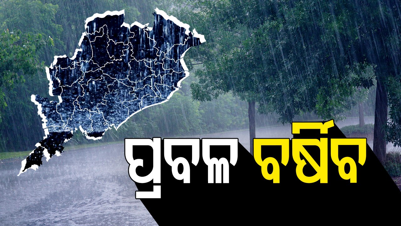 Heavy Rainfall Warning For 5 Odisha Districts; Check Latest IMD Update On Low Pressure