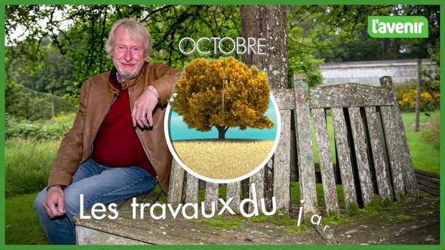 Travaux du jardin : les arbres fruitiers