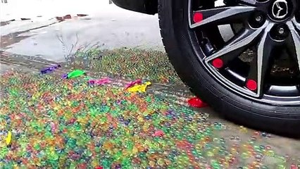 Coba Lihat, Benda Ini Hancur Berkeping-keping Saat di Lindas Oleh Ban Mobil