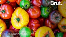 Pourquoi les tomates n'ont plus de goût