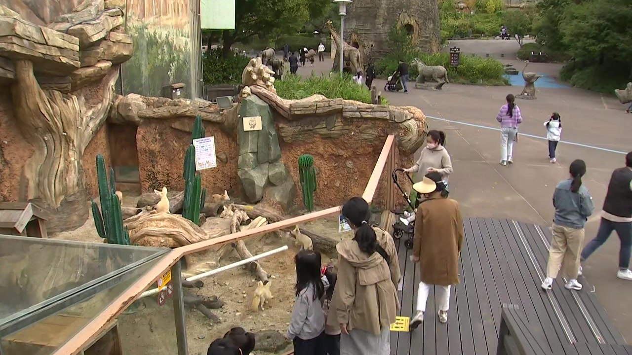 가을 날씨에 나들이객 몰린 서울대공원...일상 회복 기대감↑ / YTN