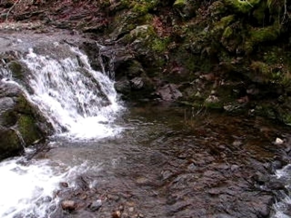 Picherande1
