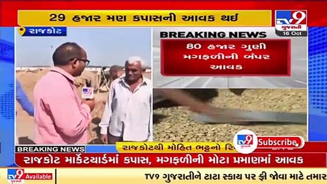 Market yards across Saurashtra see high inflow of groundnuts, cotton _ TV9News