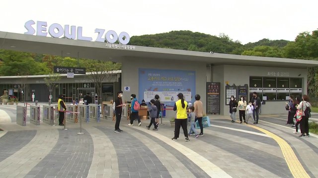 쌀쌀한 날씨에도 발길 이어지는 서울대공원...일상 회복 기대 / YTN