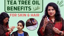 How to Use Tea Tree Oil For Pimples, Dark Spots & Dandruff? | Vasundhara Tips | Say Swag