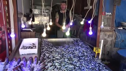 Yeni av sezonunda hamsi ihracatından 1,5 milyon doların üzerinde döviz girdisi sağlandı