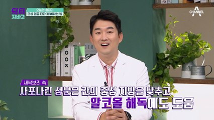 새싹 보리 섭취 시 주의 사항