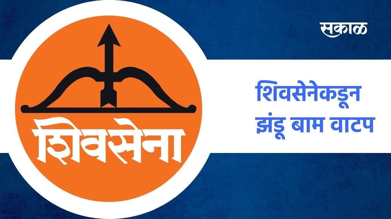 Badlapur ; शिवसेनेकडून झंडू बाम वाटप #shivsena : पाहा व्हिडीओ