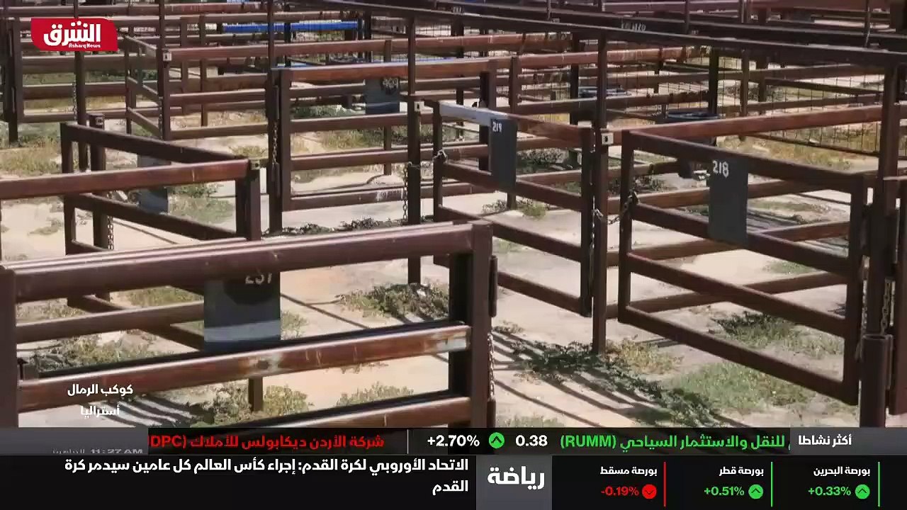 ...التي كانت تملأ سوق بيع المواشي بالكامل ....