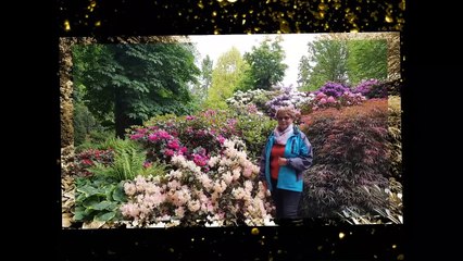 1. Wspomnienie dni  z lat 2020 i 2021r