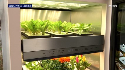 식물재배기·밀키트 자동 조리기…코로나가 바꾼 가전시장