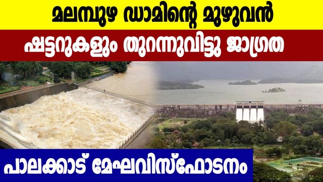 പാലക്കാട് അതിശക്തമായ മഴ, കൂടുതൽ ഡാമുകൾ തുറക്കുന്നു -അതീവ ജാഗ്രത