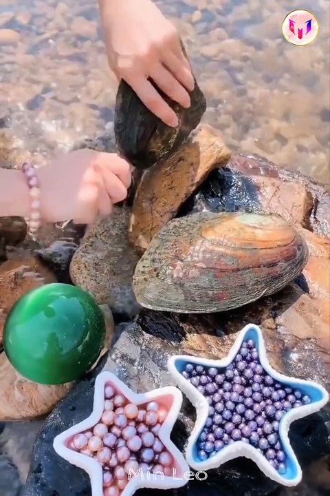 Catching_Seafood__ASMR_Relaxing_Catch_Shark__Catch_Fish_Deep_Se