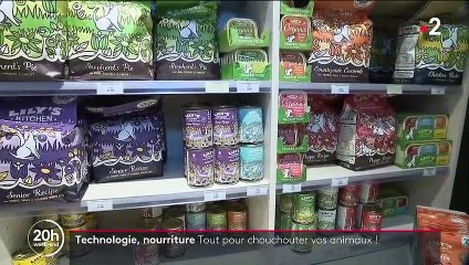 Animaux de compagnie : la filière Pet Tech en pleine expansion