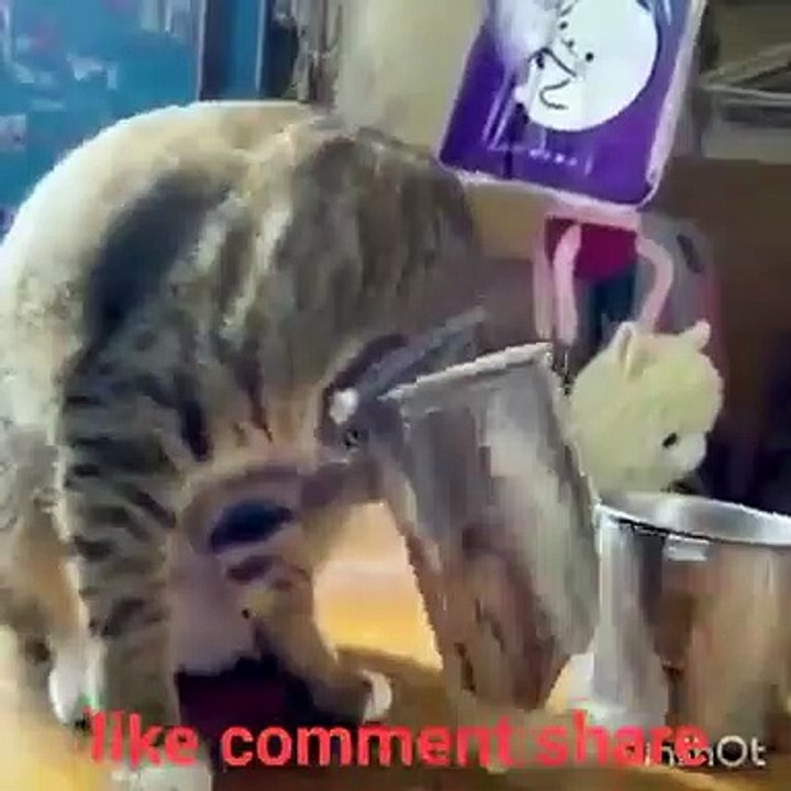 Facebook_Watch(5)