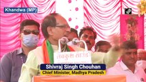 Congress has become a circus, leadership has no control over party: CM Shivraj Chouhan