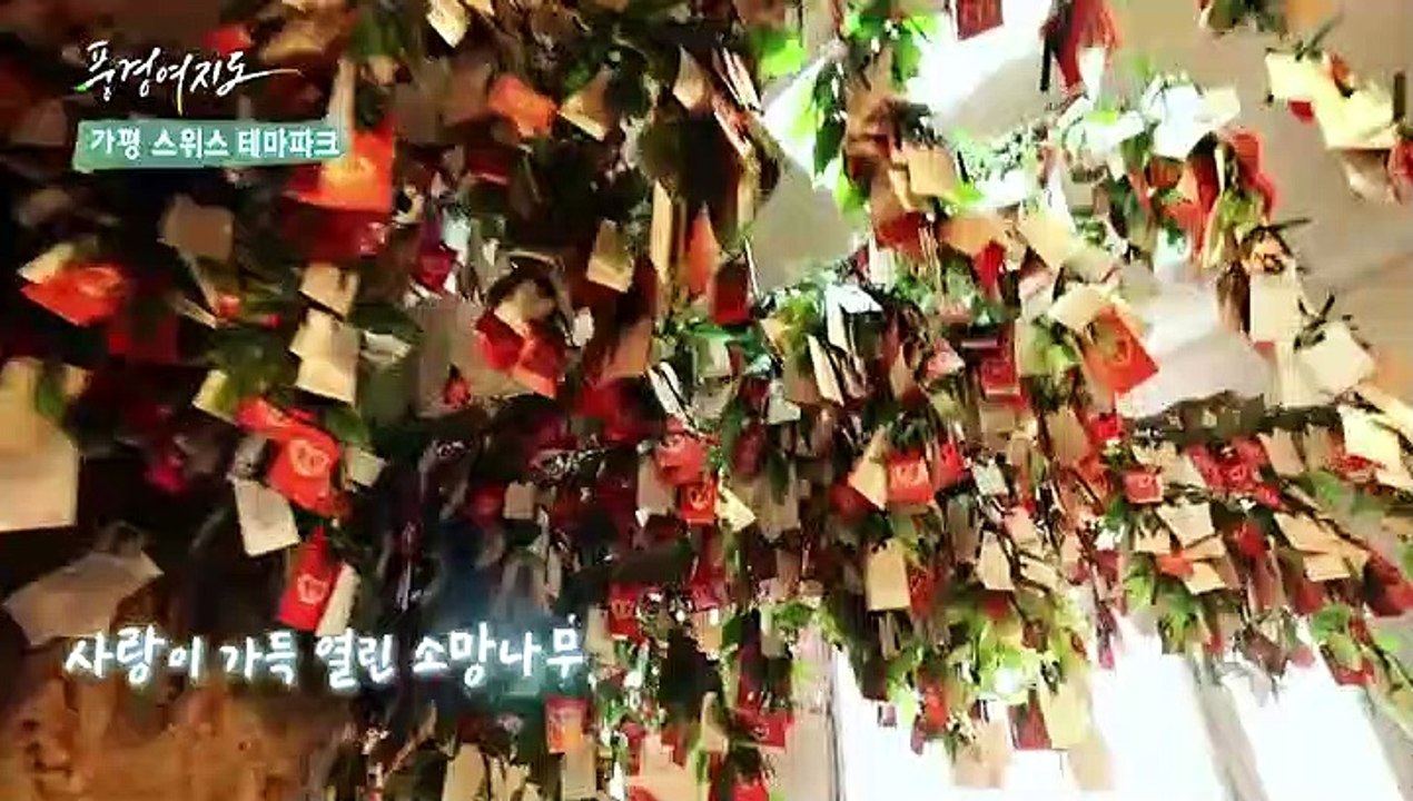 [풍경여지도] 가을, 낭만을 만나다 - 경기 가평1부