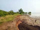 Pantai Dara Sembilan Mengalami Abrasi