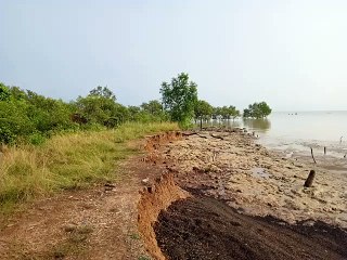 Pantai Dara Sembilan Mengalami Abrasi