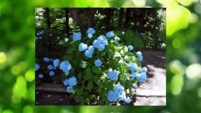 （たおやかインターネット放送)車窓からみちのく道しるべ福島松川PAから会津若松ICMichinoku Road Sign from Fukushima Matsukawa PA to Aizuwakamatsu IC