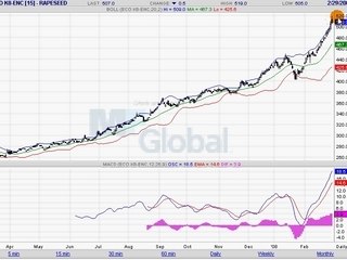 COLZA EURONEXT 02.03.08