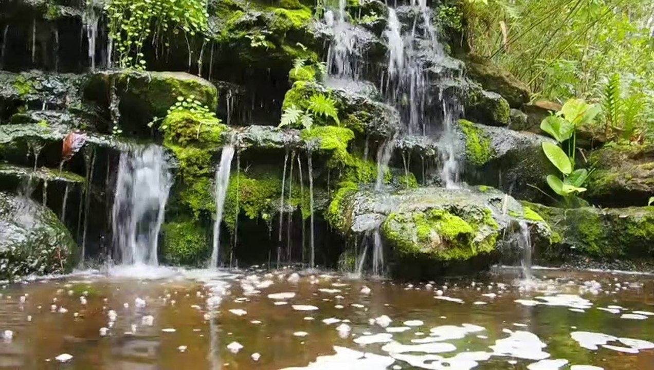 ambient piano music,  Deep sleep music, Relaxation for sleep music, study music, mind movie