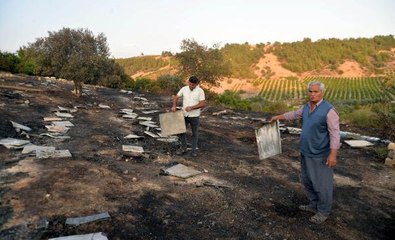 250 KOVAN YANDI; YAKLAŞIK 5 MİLYON ARI ÖLDÜ