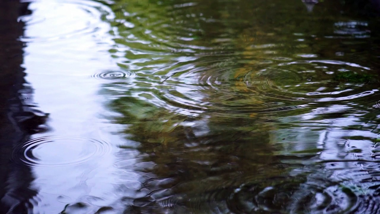 Rain falling on the water of a lake seen up close.