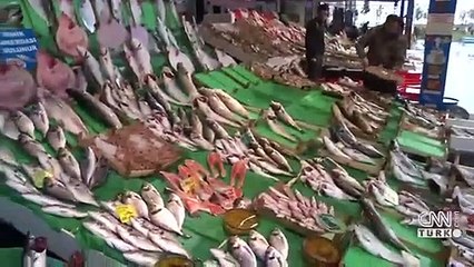 Palamut denizlerde tükeniyor mu?