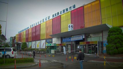 '폐쇄 진통' 마포 농수산물 시장 기지개..."방역 완화 기대" / YTN