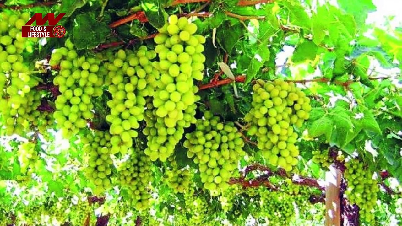 Diabetes Problem: Troubled by diabetes, do not forget to eat these fru