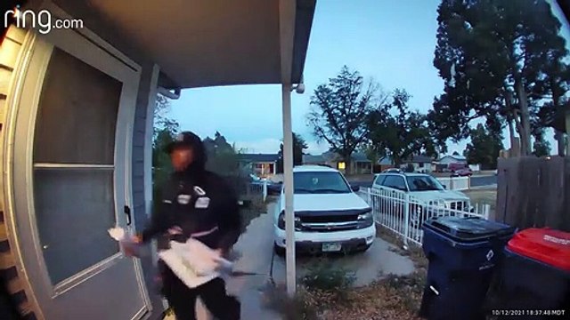 Un facteur met un coup de gazeuse sur un chien qui lui aboie dessus !