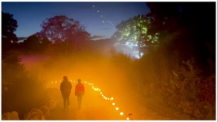 Vivre Halloween dans « La fôret mystérieuse »