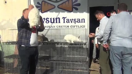 Son dakika: Tavşanla hayatları değişti... Tavşan sevgisini yatırıma dönüştüren üreticiler ayda 5-10 bin lira kazanıyor