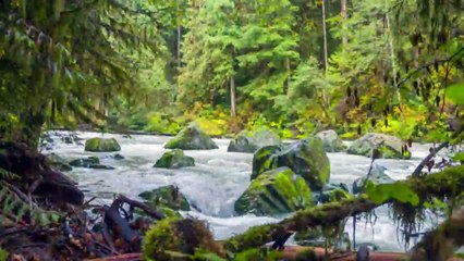 La Germania si inchina all'islam per le strade il canto dei muezzin!