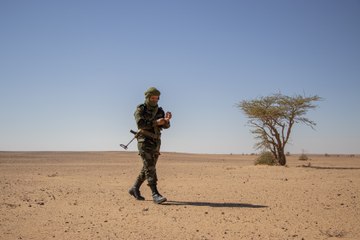 De 'Vacaciones en paz' a soldados de la nueva guerra del Polisario