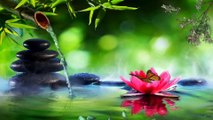 Peaceful Spa Music with Water | 水との平和なスパ音楽 | Healing, Meditation, Yoga Music | Relaxing Spa Music