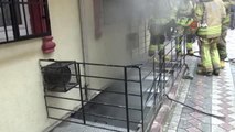 Teksil atölyesinde yangın paniği: İtfaiye erleri dumandan etkilenen kediye kalp masajı yaptı