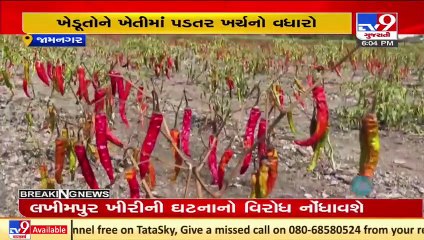 Farming now a loss making profession, roll back fertilizer price hike demand farmers _ Jamnagar _TV9