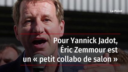 Pour Yannick Jadot, Éric Zemmour est un « petit collabo de salon »